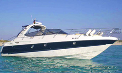 Cranchi41