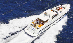 Mangusta80