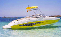 Rinker230
