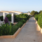 casas_2
