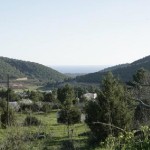 foto_16
