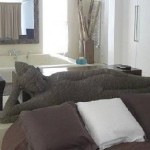 foto_20