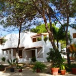 ho11-7398-bungalow-es-pins-formentera